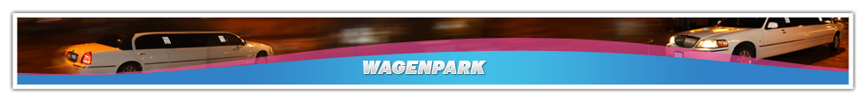 cropped-sub_wagenpark.png